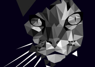 Polygone Cat