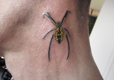 Tattoo of a black and bright yellow spider on a male neck